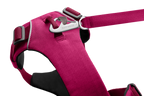 Pink Mountains (990)