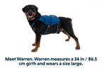 Switchbak Harness in Blue Moon (460)