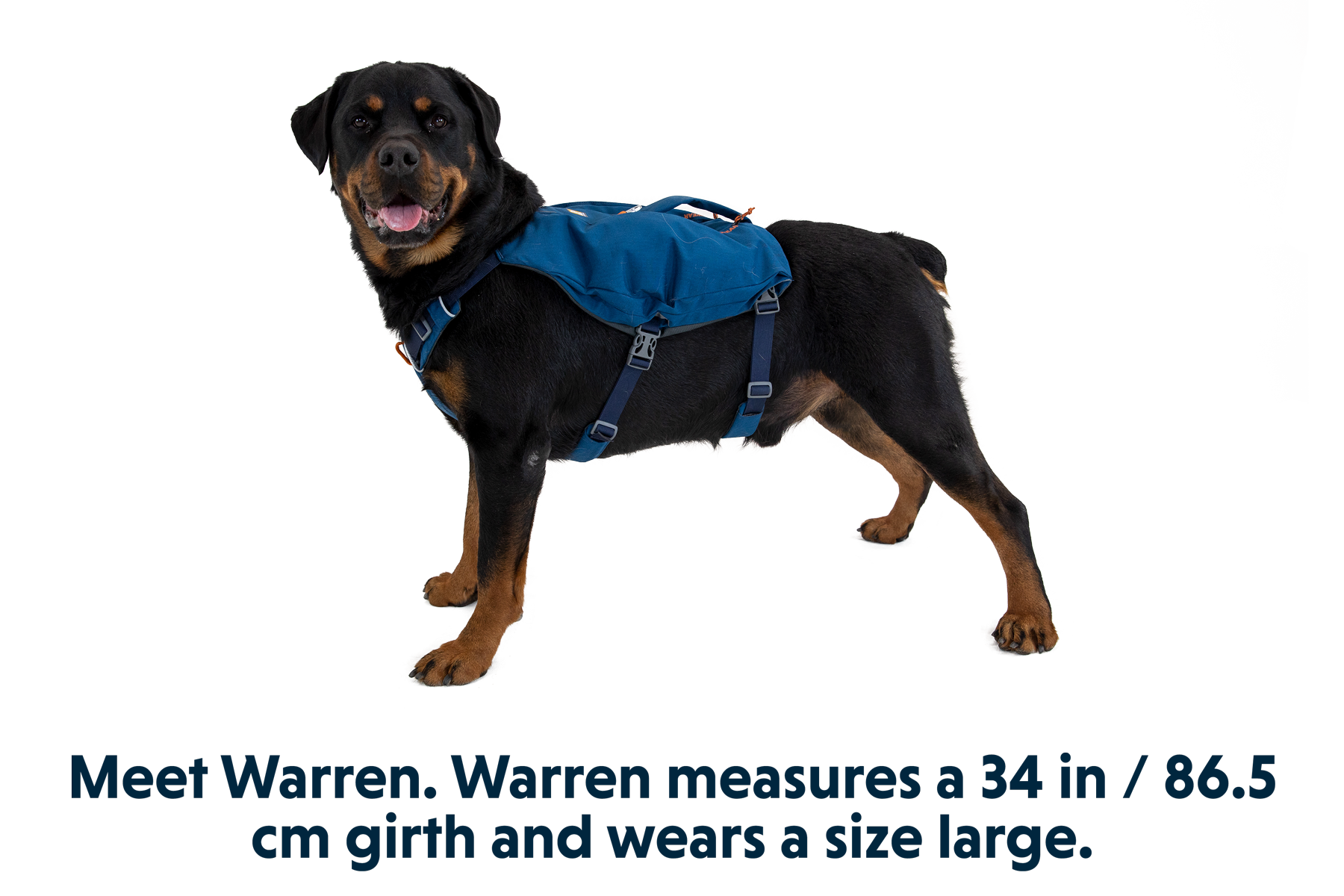 Switchbak Harness in Blue Moon (460)