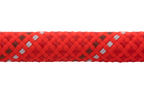 Red Sumac (607)