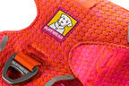 Rose Violet (670)