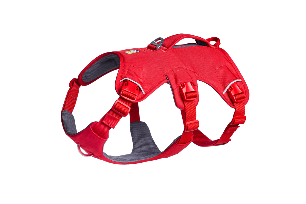 Red Canyon (625)