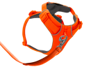 Blaze Orange (850)