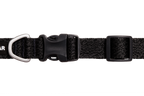Basalt Gray (042)