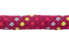 Hibiscus Pink (647)