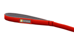 Red Canyon (625)