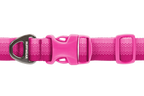 Pink Rose (690)