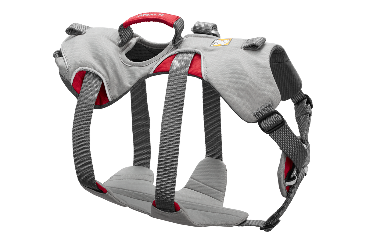 Doubleback Harness in Cloudburst Gray (045)