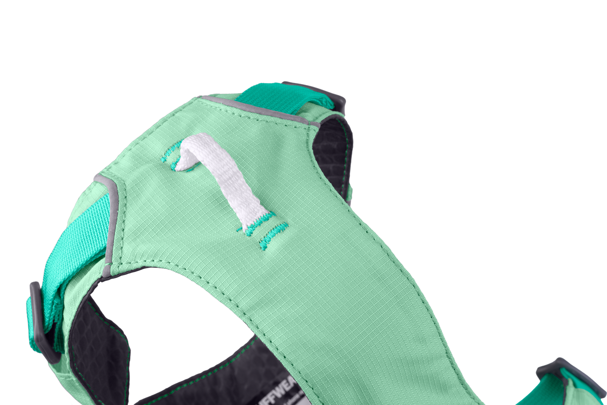 Sage Green (330)