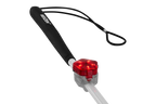 Red Currant (615)