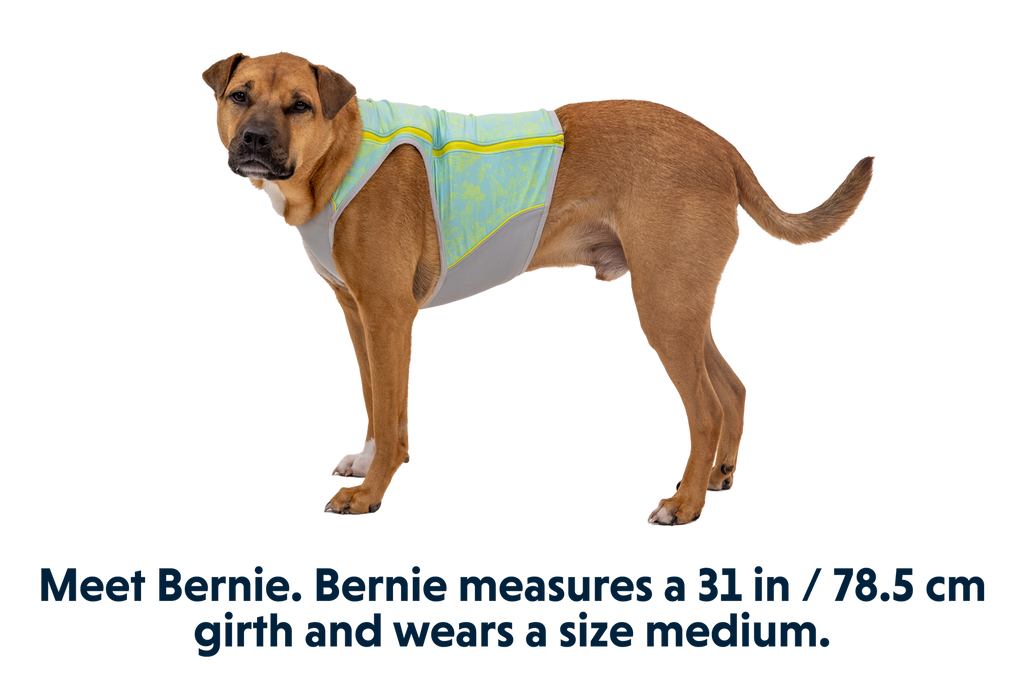 Swamp Cooler Zip™ Cooling Dog Vest