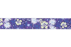 Wildflower (918)