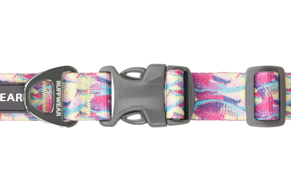 Reef Fish (989)