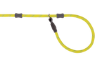 Lichen Green (315)