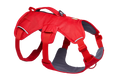 Red Canyon (625)