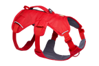 Red Canyon (625)
