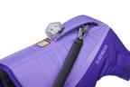Purple Lily (530)