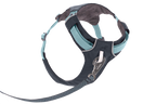 Basalt Gray (042)