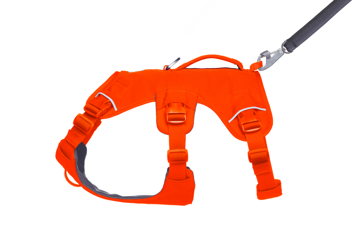 Blaze Orange (850)