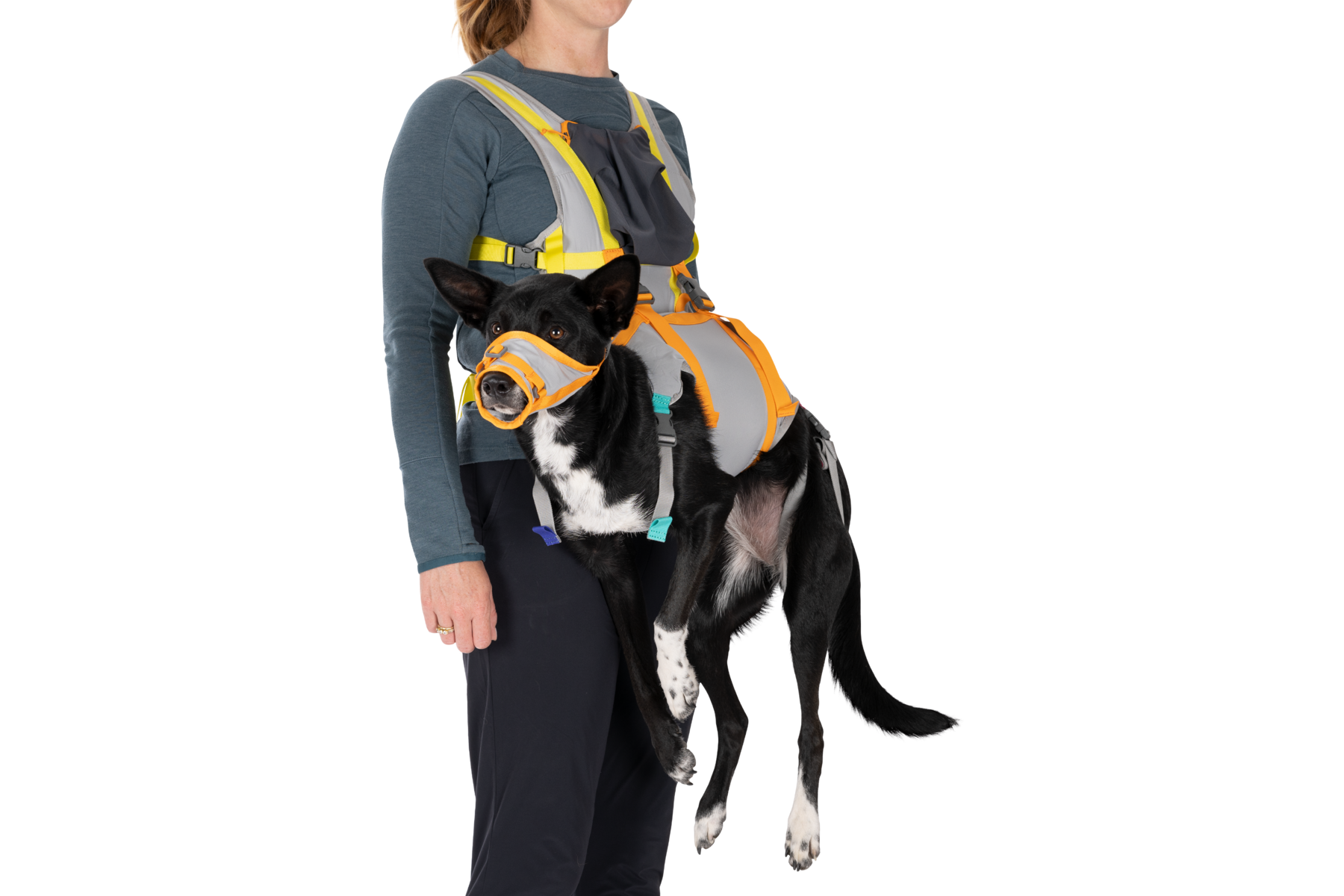 Dog Emergency Evacuation Kit Cloudburst Gray (045)