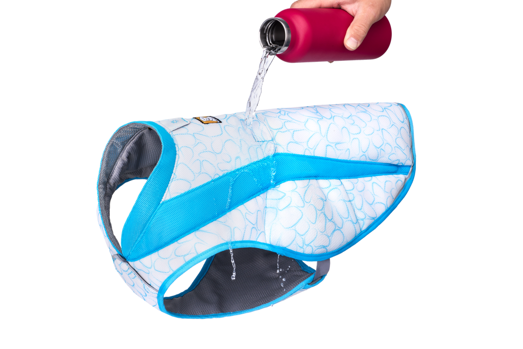 Biolumin Blue (445)