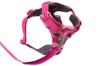 Pink Mountains (990)