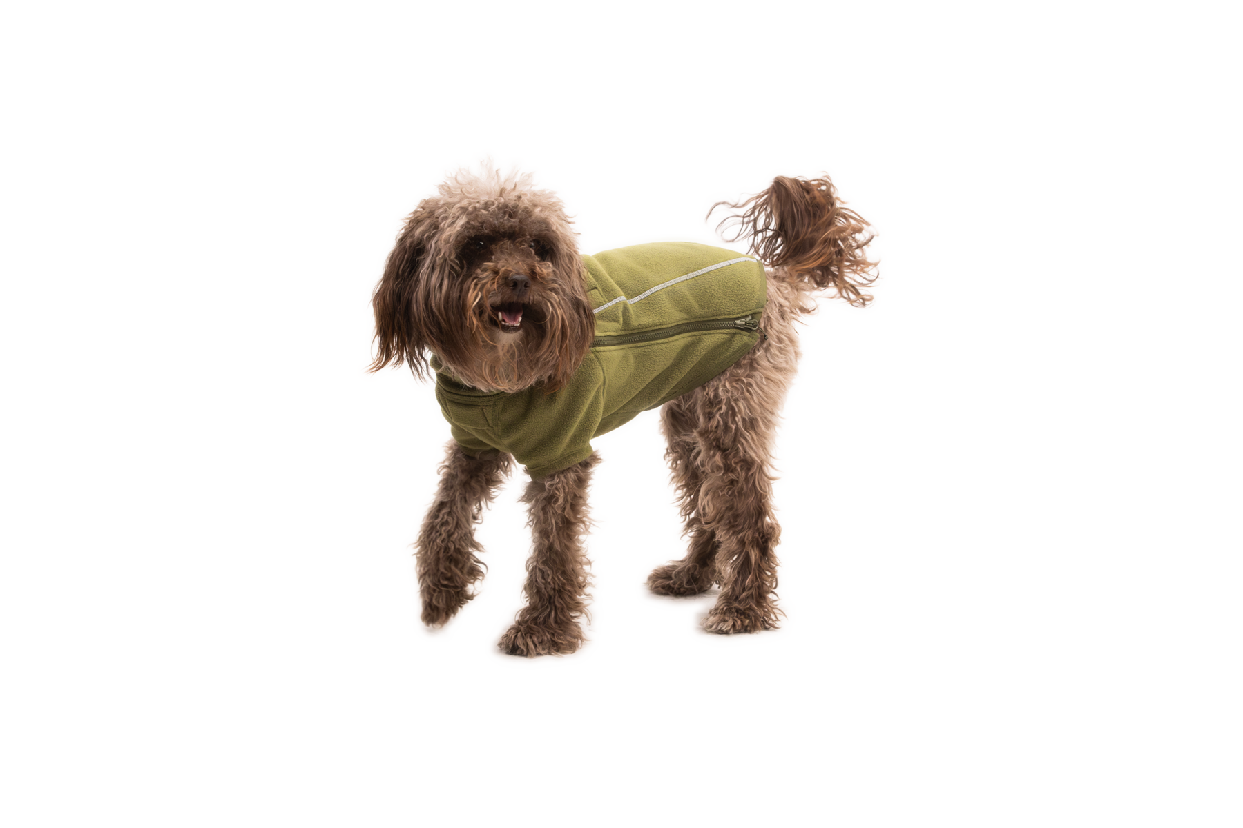 Cedar Green (302)