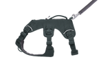 Basalt Gray (042)
