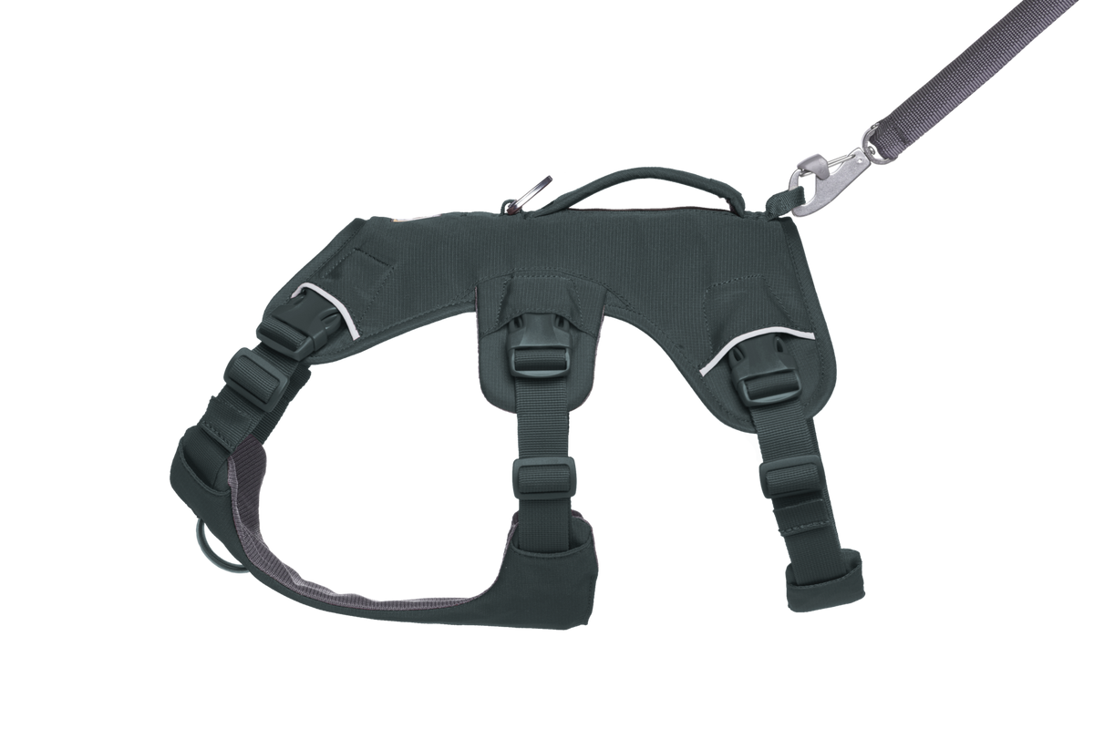 Basalt Gray (042)