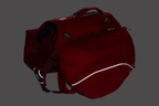 Red Sumac (607)