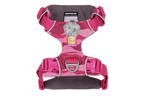 Pink Mountains (990)