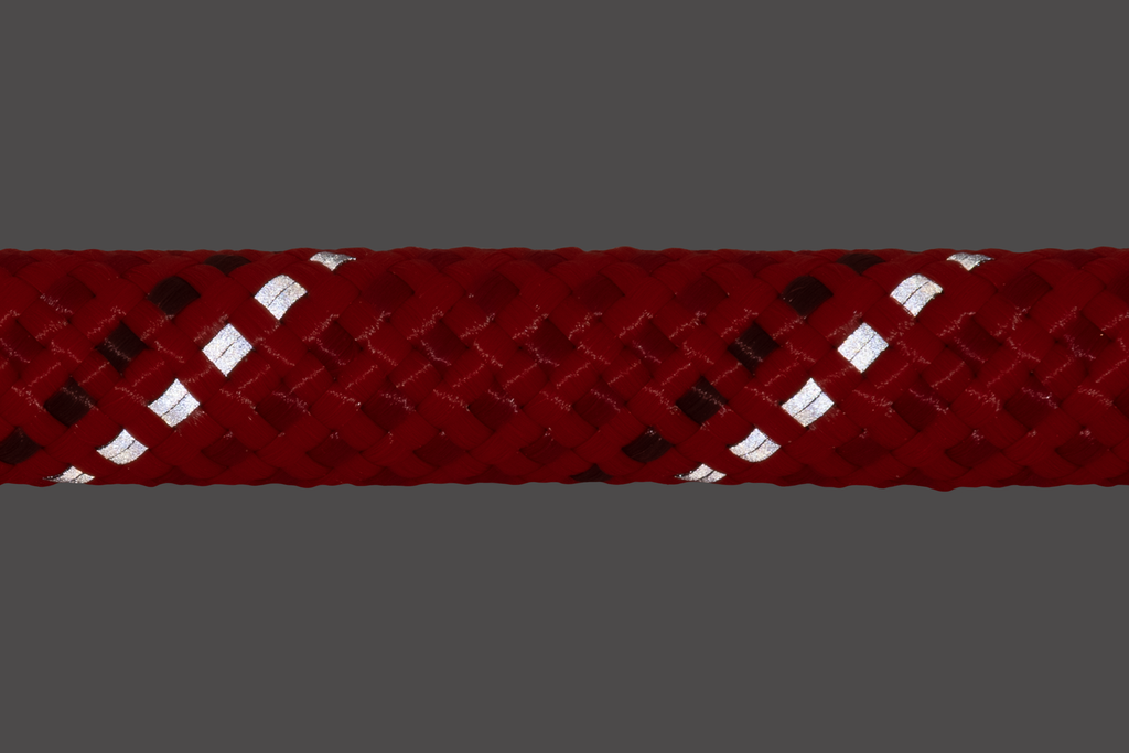 Red Sumac (607)