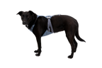 Load Up™ Dog Car Harness