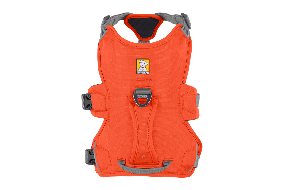 WebMaster Harness Blaze Orange (850)