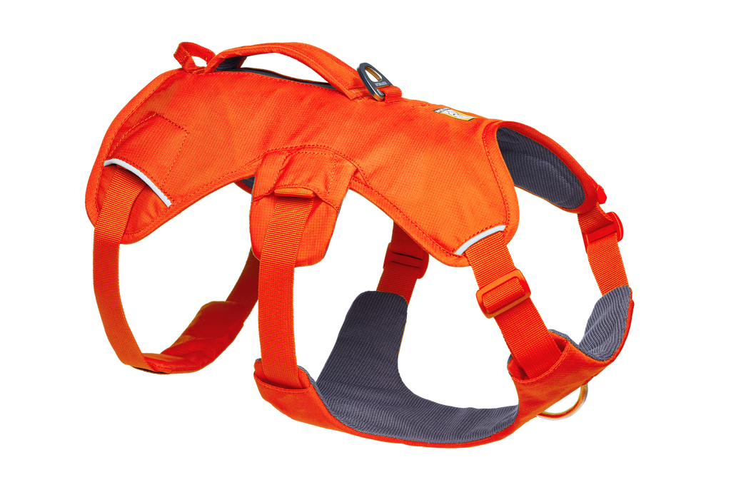 Blaze Orange (850)