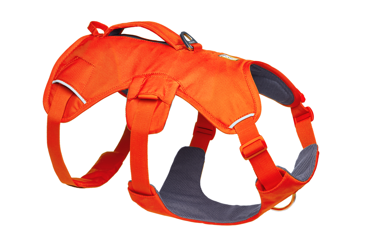 Blaze Orange (850)