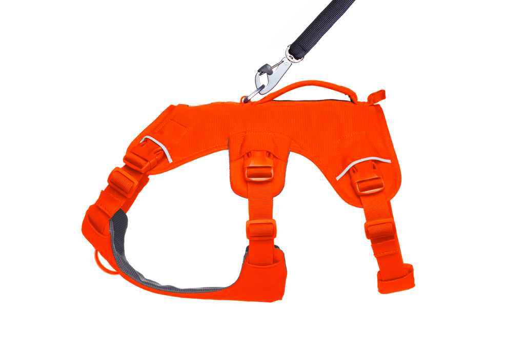 Blaze Orange (850)