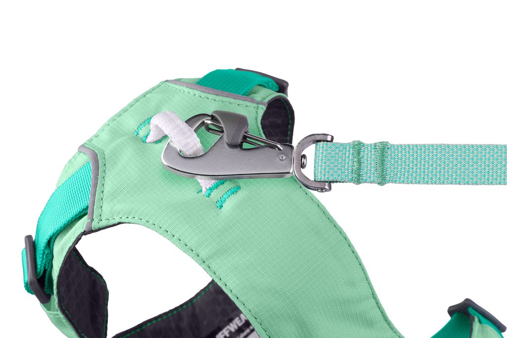 Sage Green (330)