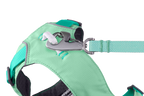 Sage Green (330)